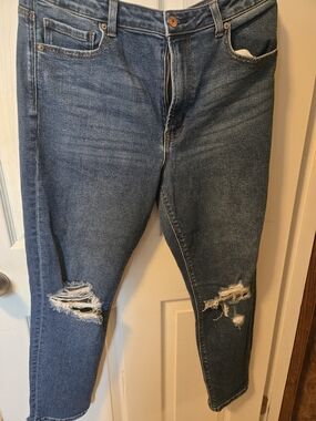 Mom Jeans American Eagle Outfitters Distressed Cropped Blue Jeans